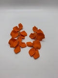 Orange Valentin petals